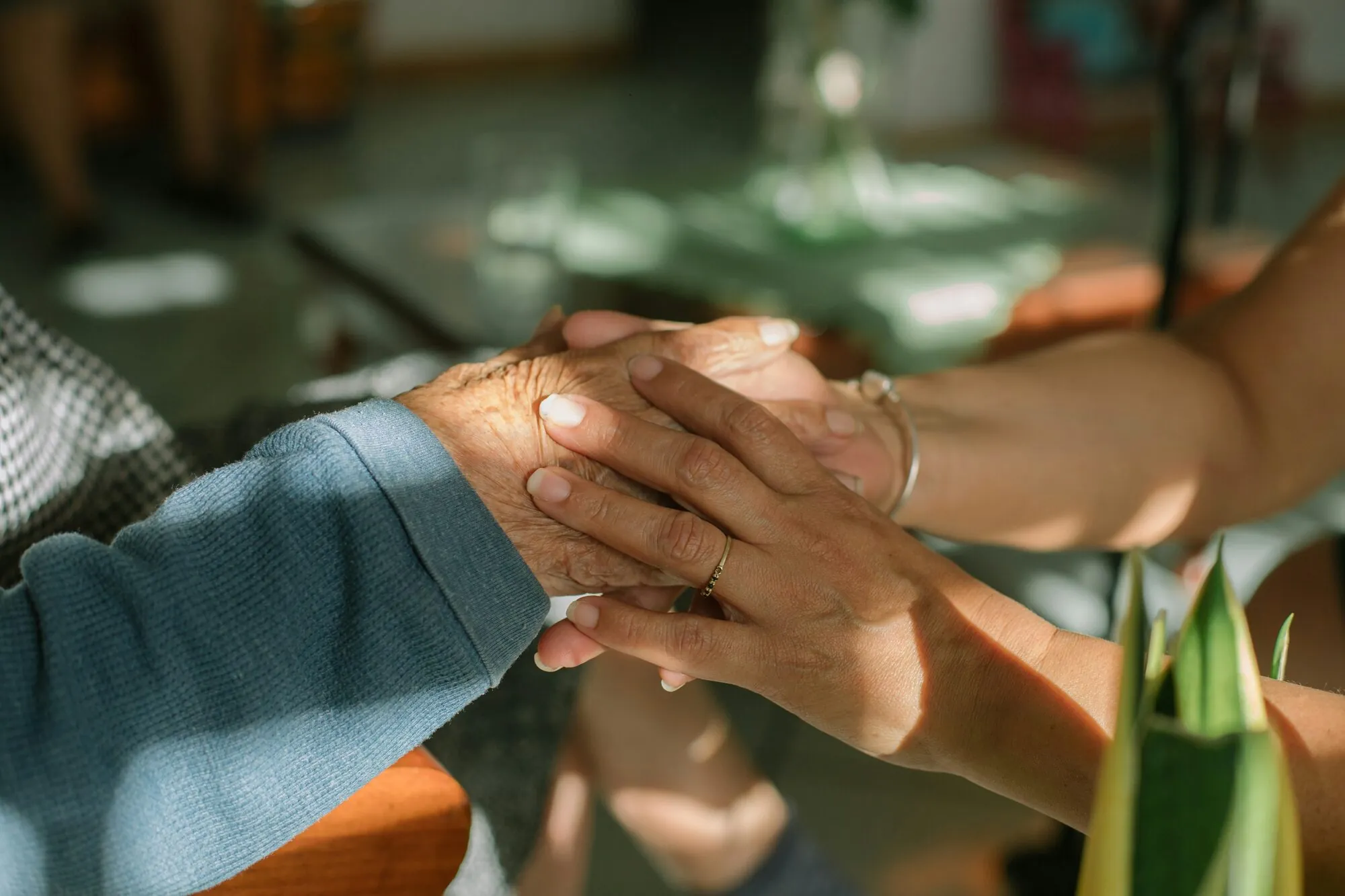 Twee handen die elkaar vasthouden, de ene ouder dan de andere